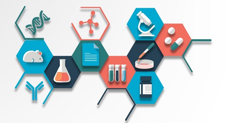 The Intersection of Science and Innovation: Your Role in Drug Discovery